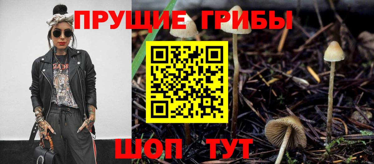 Псилоцибиновые грибы прущие грибы Камышин