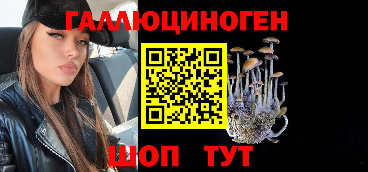 Камышин  Галлюциногенные грибы MAGIC MUSHROOMS  Галлюциногенные грибы мухоморы  Вход с VPN 