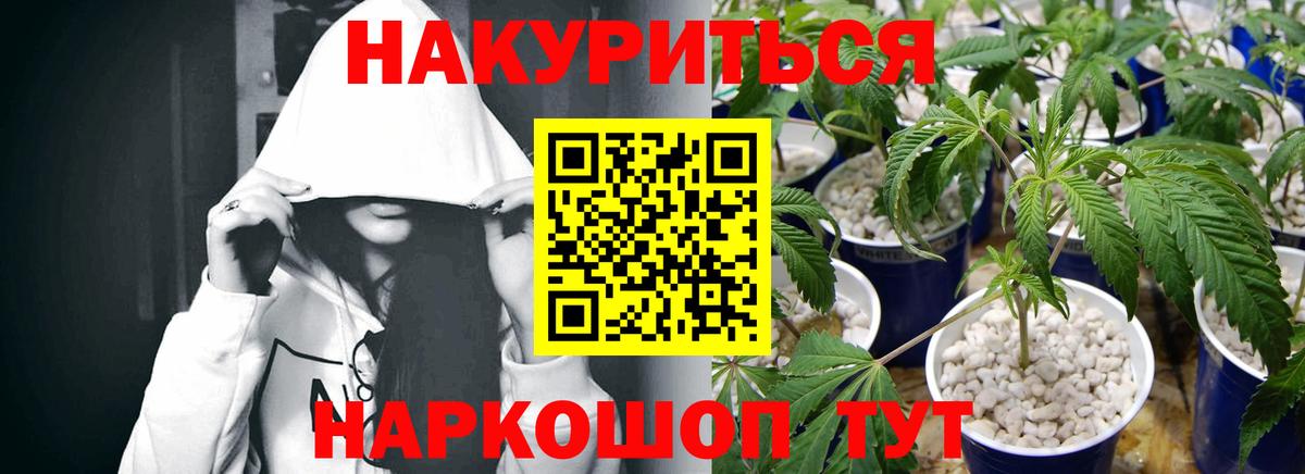 Бошки Шишки VHQ Камышин